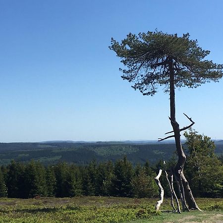 Berg- Und Seeblick Winterberg Buitenkant foto